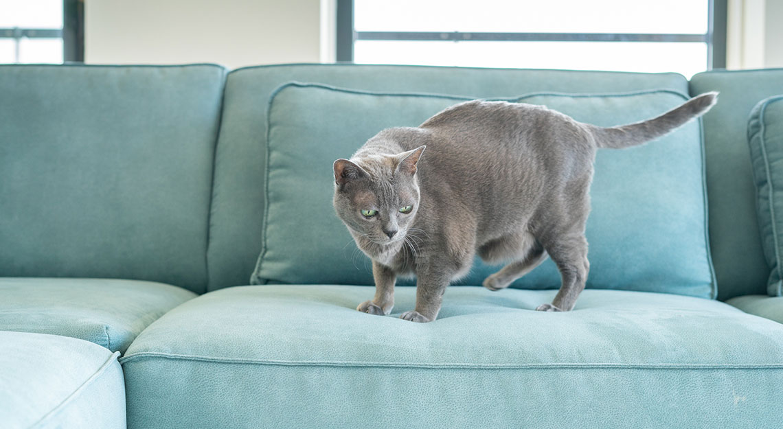 binnenkijken bij peter en daan van Jansen Totaal Wonen